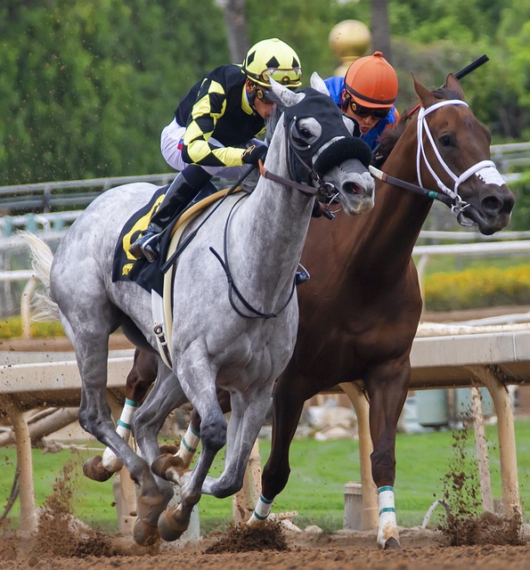 顾皮尔洛的 顾皮尔洛的